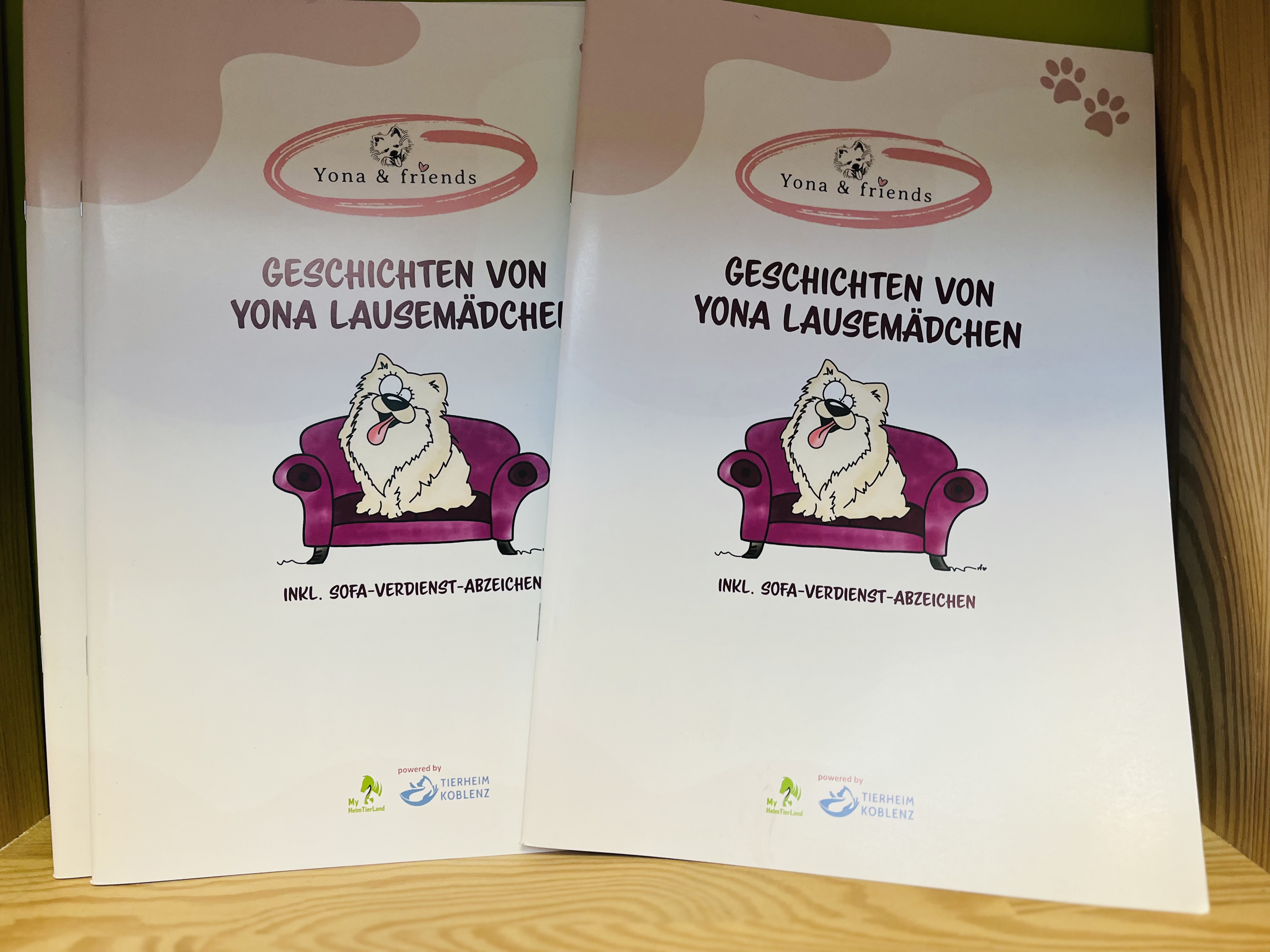 Flyer Yona & friends