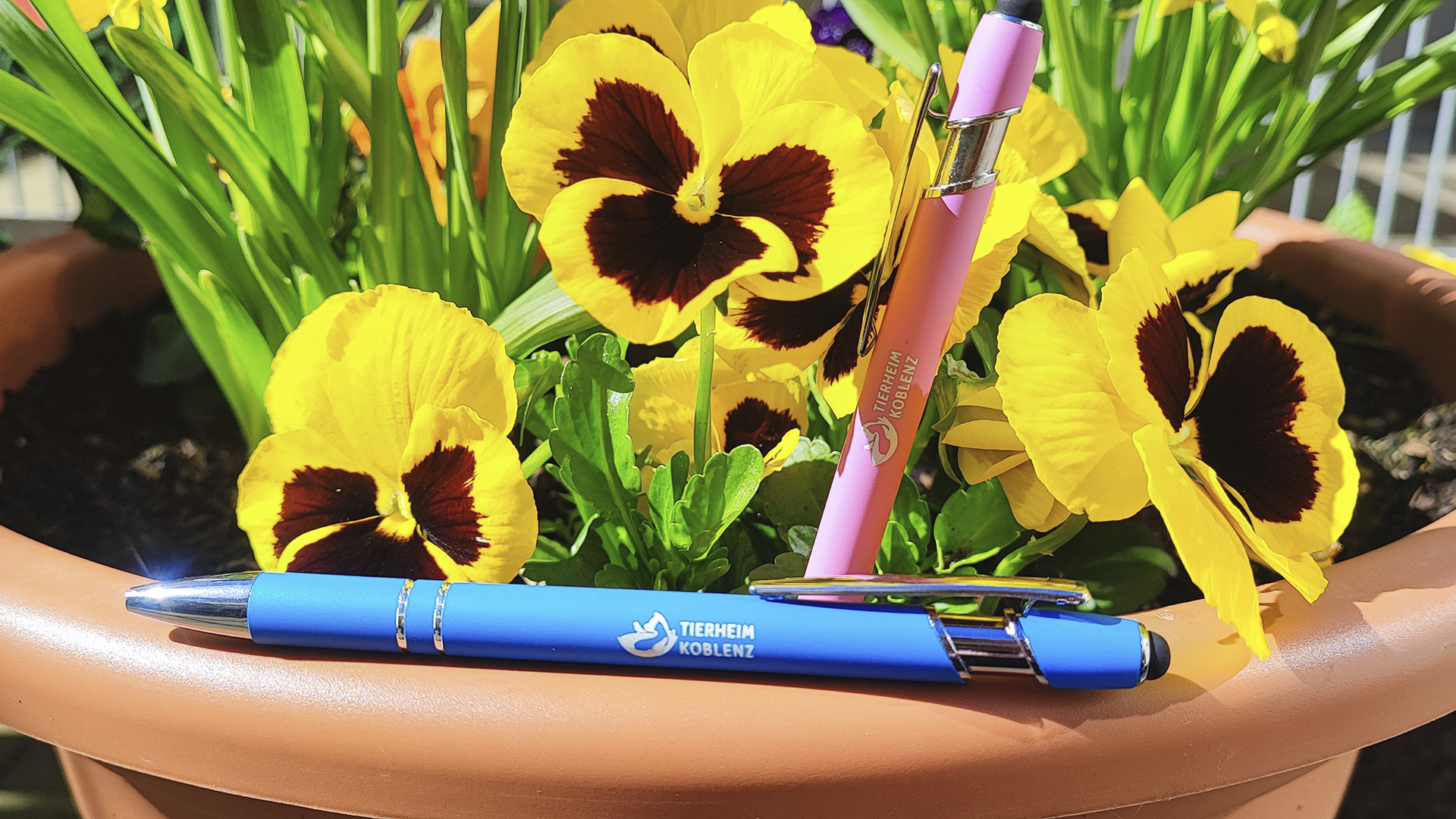 Kugelschreiber pink und blau